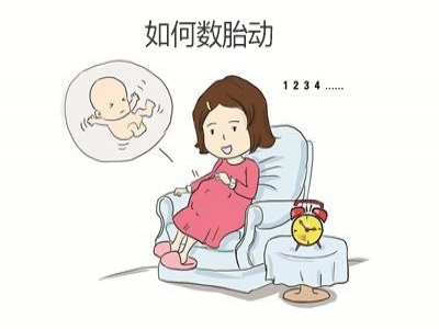 胎兒好不好，胎動全知道，數(shù)胎動的重要性